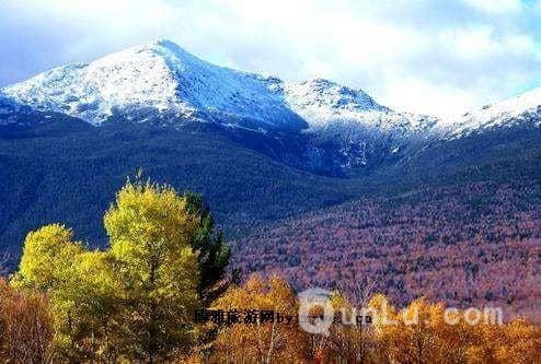 ������ѧʮ��¼ȡ����