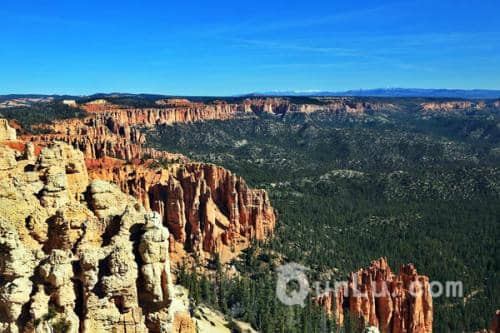 ������ѧ���� �й���ӡ�ȳ�����ѧ�������Դ��