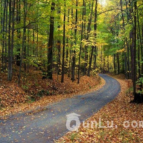 ����������һ��Ҫ֪���Ľ�ͨ����